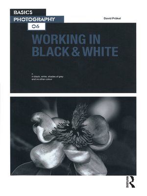 cover image of Working in Black & White